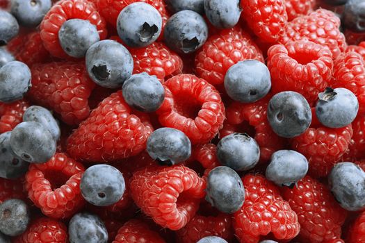 Delicious blueberries and red raspberries seen close up - large XXL file shot in studio