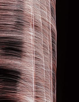 Close up of fireworks being fired up in the sky