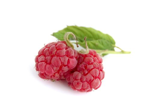 close-up of raspberry with leaves