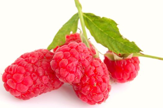 close-up of raspberry with leaves