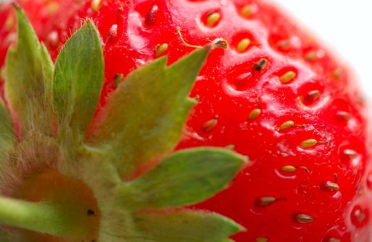 macro of strawberry with leaves