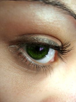 A macro shot of a pretty green eye and lashes - shallow depth of field.