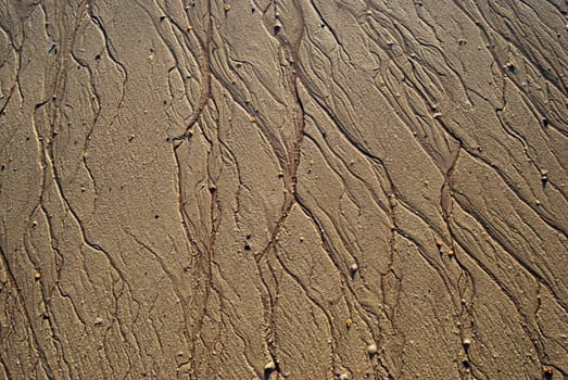 traces of the ocean water leaving patterns in the sand