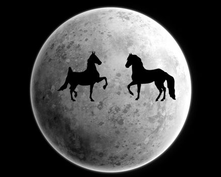 Here you can see a big moon and two loved horses