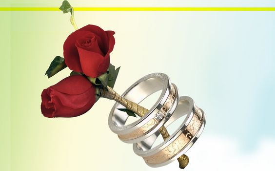 Romantic picture two roses and rings 