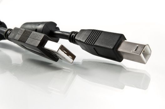 Close up and low level of a black Universal serial bus lead with connectors arranged on a white reflective surface with white background.