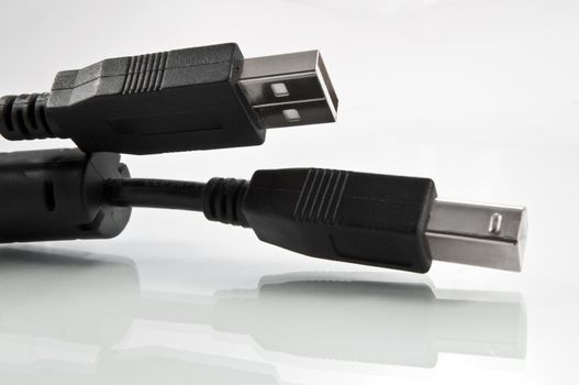 Close up and low level of a black Universal serial bus lead with connectors arranged on a white reflective surface with white background.