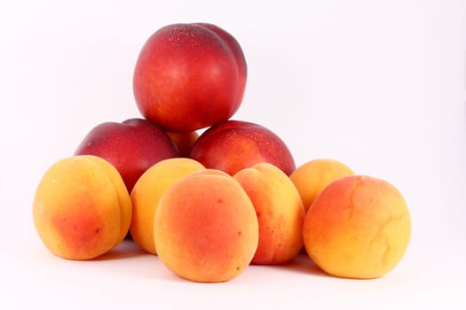 fresh colorful riped apricots and nectarines