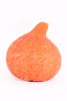 Decorative gourd, isolated