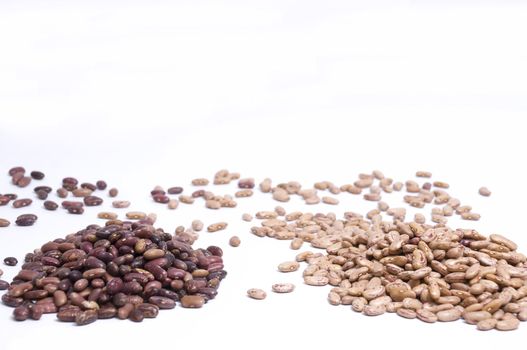 close up on two big piles of kidney or red beans and pinto or brown beans, isolated on white