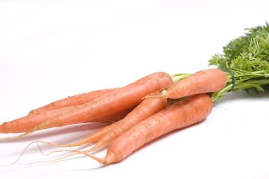 stack of fresh carrots with green leaves, just picked from the garden, isolated on white