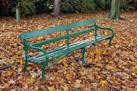 Park bench in the autumn, in England