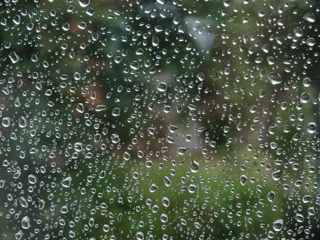 Rain drops on window with green plants background