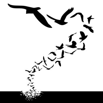 lot of birds flying; silhouette style illustration