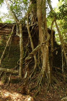 Runs of ancient Cambodian temple in the jungle.