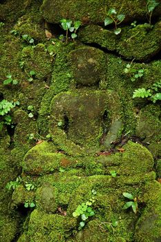 Green stone Buddha. Relief on ruins of old khmer temple.