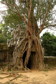 Runs of ancient Cambodian temple in the jungle.