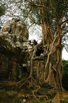 Runs of ancient Cambodian temple in the jungle.