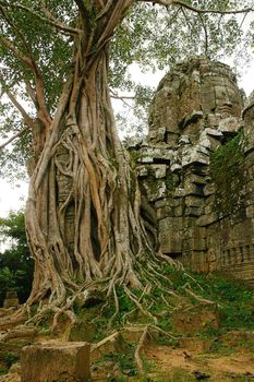 Runs of ancient Cambodian temple in the jungle.