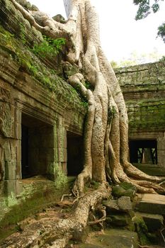 Runs of ancient Cambodian temple in the jungle.