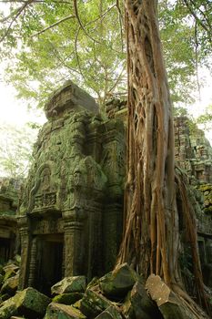 Runs of ancient Cambodian temple in the jungle.