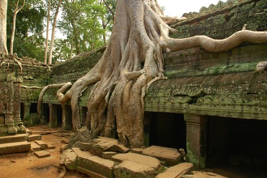 Runs of ancient Cambodian temple in the jungle.