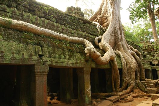 Runs of ancient Cambodian temple in the jungle.