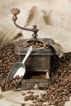 Antique coffee grinder filled with coffee beans