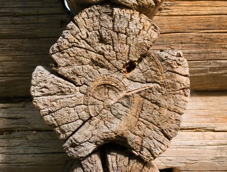 close-up wooden cut texture.wood background