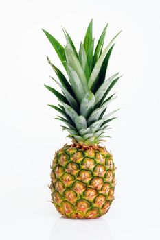 Pineapple fruit isolated on a white background.
