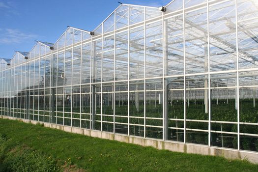 Glasshouse in