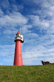 Lighthouse with sheep on dyke in Holland