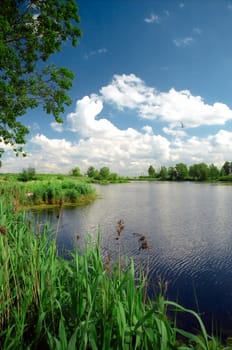Calm lake in summer day