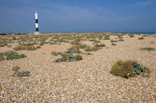 The pebble beach at Dungeness with the new lighthouse in the distance