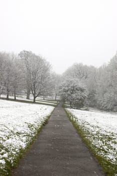 A footpath in winter with snowcovered trees and grass