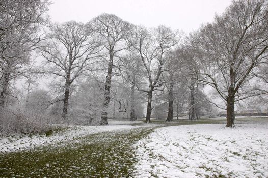 A footpath in winter with snow covered trees and grass