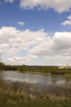 A view of a lake in spring