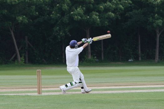 cricket batsman