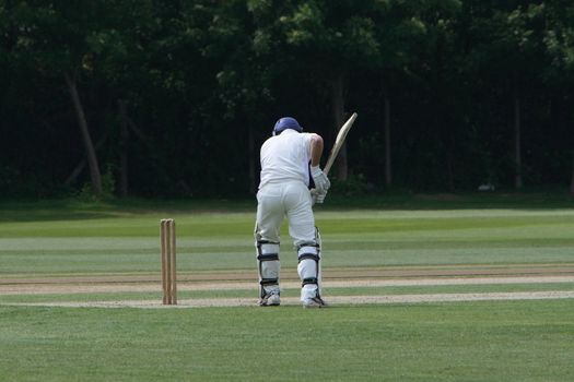 cricket batsman