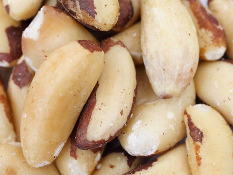 brazil nut background