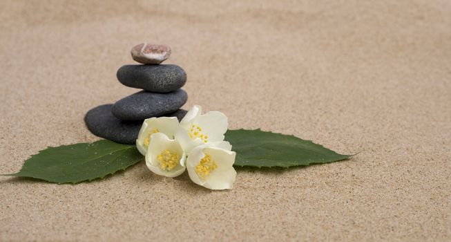 Jasmine and stones on a sand