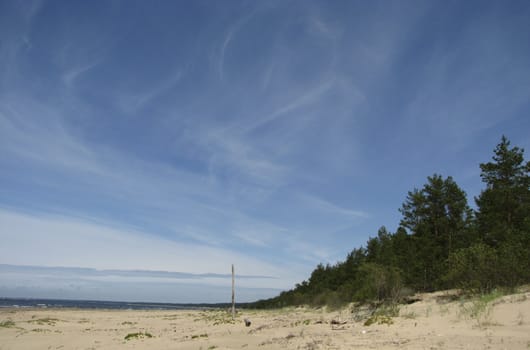 seaside and sky