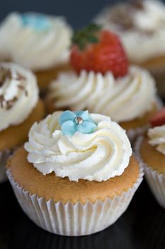 Assortment of cupcakes decorated with fresh cream