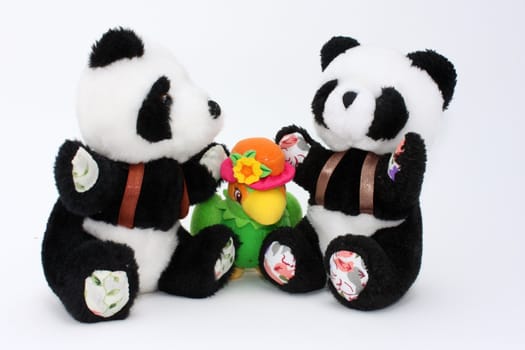 two pandas and a parrot, child toys of plush, isolated