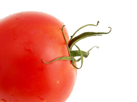 Macro of one tomato isolate on white background
