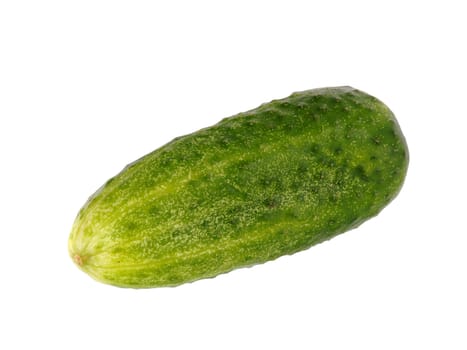 One cucumber isolated on white background