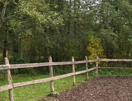 View of one of the paddocks and the pond