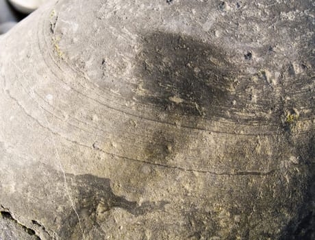 Dark river stone texture shot close-up which can be use as background