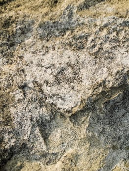 Rock texture shot close-up which can be use as background