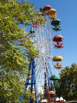 Roundabout big wheel in summer park